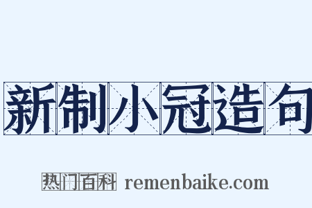 新制小冠造句是什么意思的图片